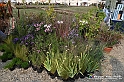 VBS_6840 - FLOREAL Ottobre 2022 - Tre giorni di fiori, piante e bellezza